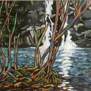 Cedar Cascade - Whitsundays, Queensland