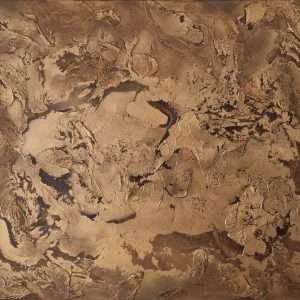 Bronze Reverie