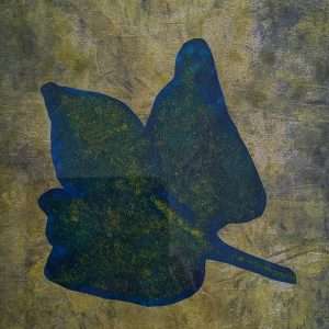 Blue Leaves 03