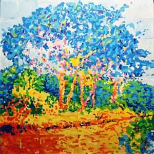 Colour of the Echuca Bush