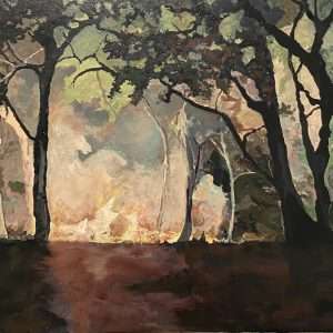 Bushfire At Night