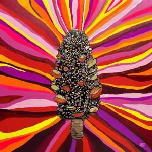 Brown banksia seed pod surrounded by pink, orange, yellow and purple radiating stripes.