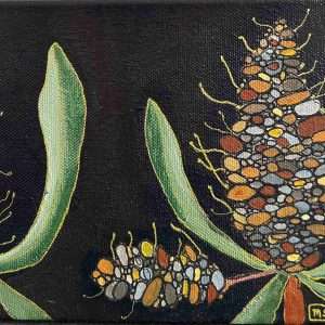 Brown, black and grey banksia seed pods with green leaves on black background