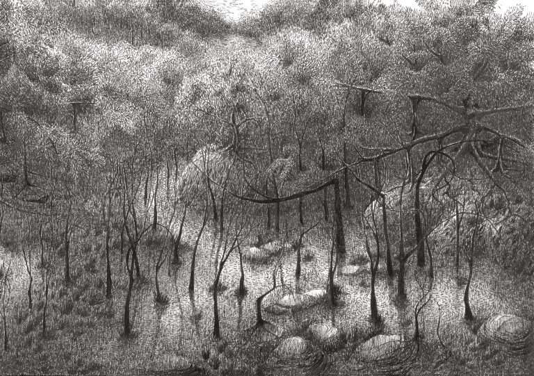 Moonlit Stream - Spread 2 of 2