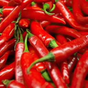 Sauce Day Series - Picante Red Chillies - Adelaide, South Australia
