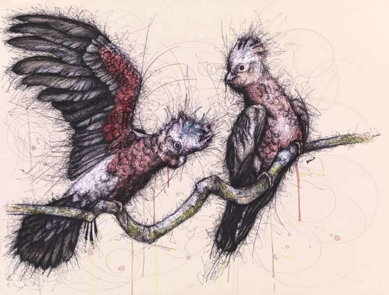 Two galahs that look to be chatting away on a branch