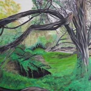 Wetland trees