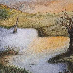 Wetlands